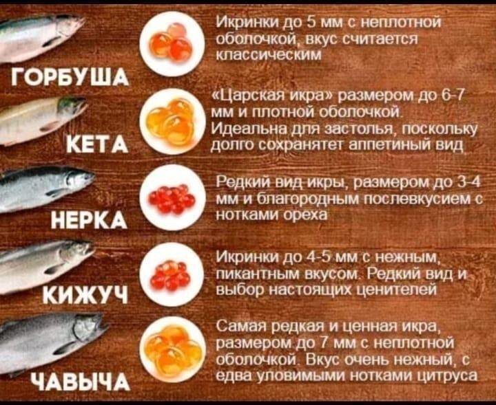Красная икра для детей: польза и вред, с какого возраста можно давать - onwomen.ru