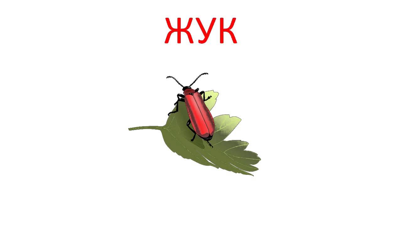 Карточки домана: инструкция, скачать шаблоны
