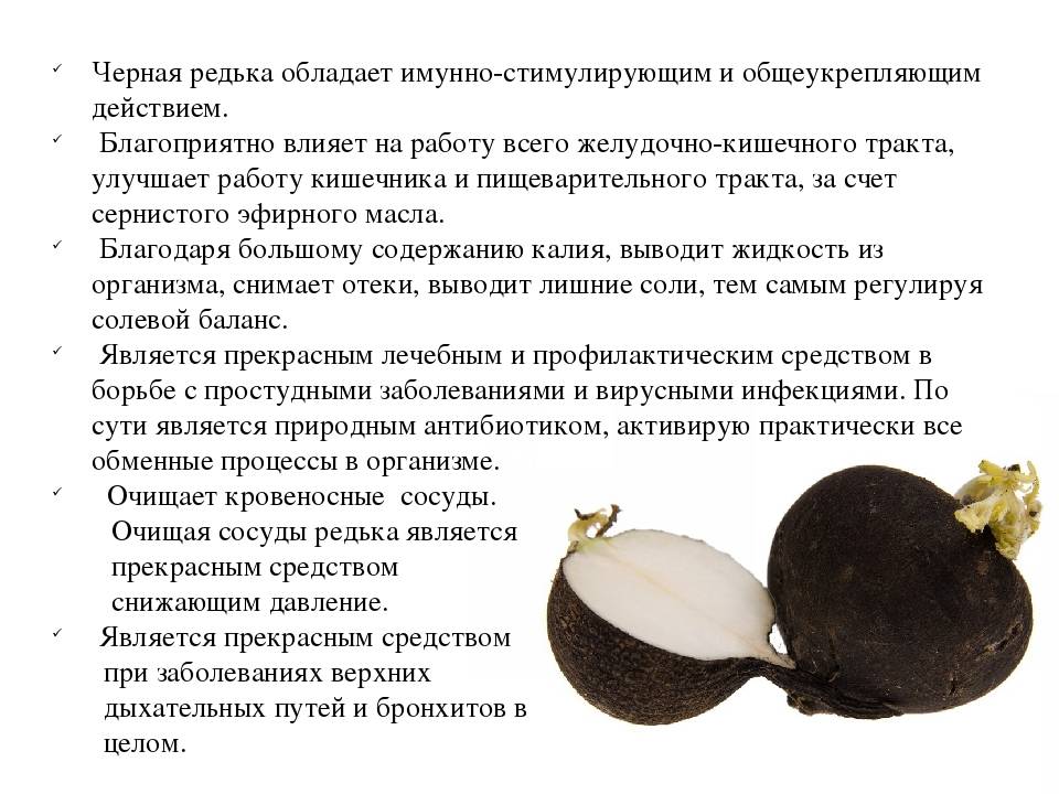 Репа в рационе детей, рецепты. с какого возраста можно давать? - onwomen.ru