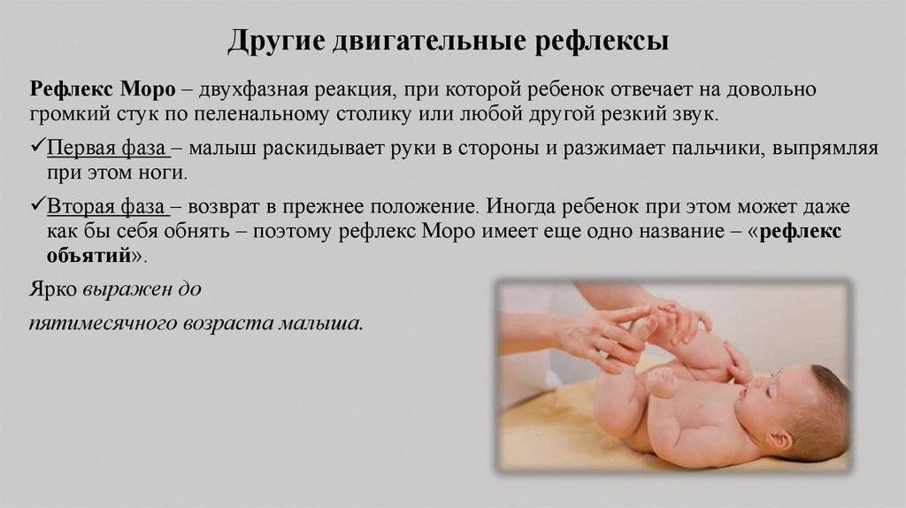 Рефлексы новорожденного: моро, реакции бабинского, бабкина, галанта, таблица по месяцам