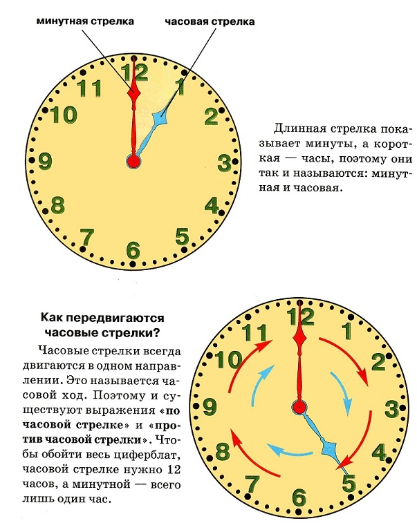 Как научиться распознавать время по часам. Научить ребенка определять время по часам циферблат. Как определять время на механических часах. Как научиться определять время по часам.