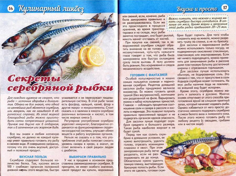 Как приготовить рыбу для кормящей мамы: полезные и простые рецепты
