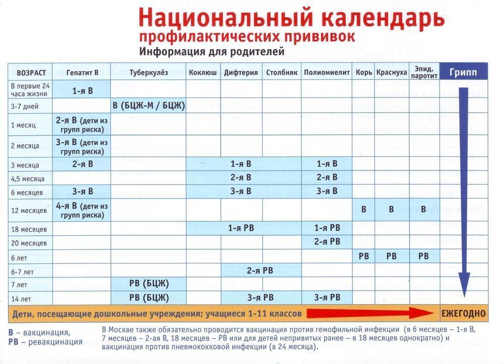 Календарь прививок: график и таблица для детей до 1 года по месяцам