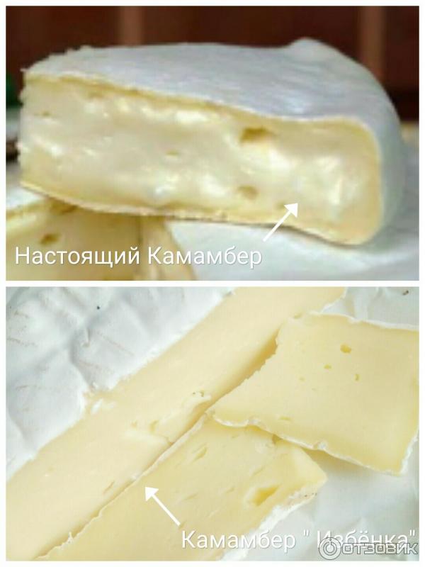 Сыр с белой плесенью: виды, польза и вред | food and health
