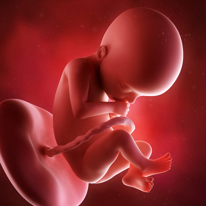 22 неделя беременности: ощущения, признаки, развитие плода