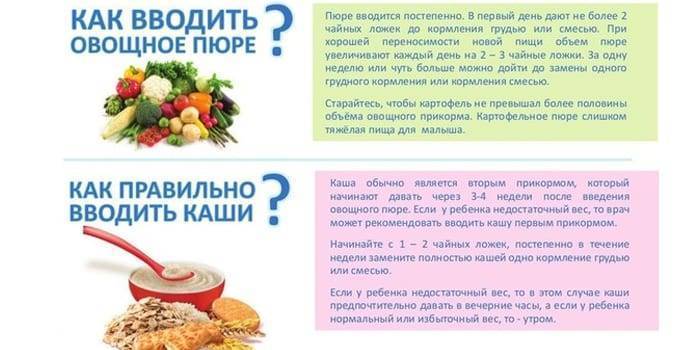 Первый прикорм: что и когда давать ребенку (с рецептами) - статьи на повар.ру