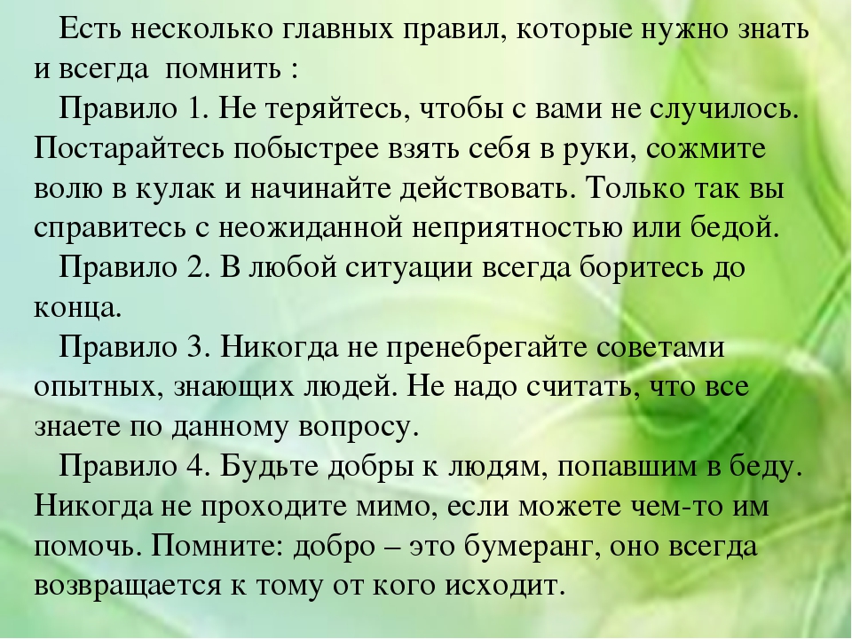 Действия при укусе насекомыми и животными - учебный центр дополнительного профессионального образования
