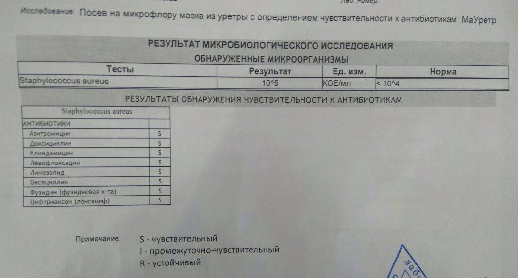 Анализ грудного молока на стафилококк и стерильность (симптомы у ребенка)