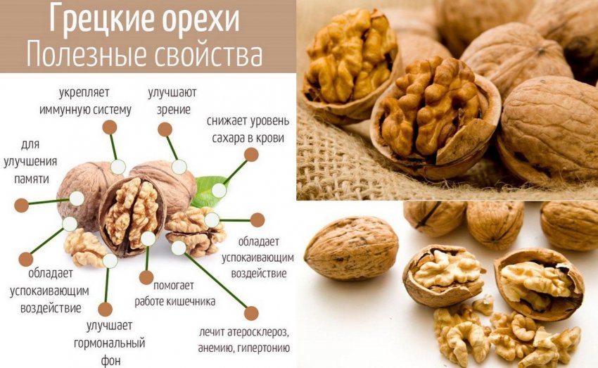 Орехи при грудном вскармливании: польза и вред