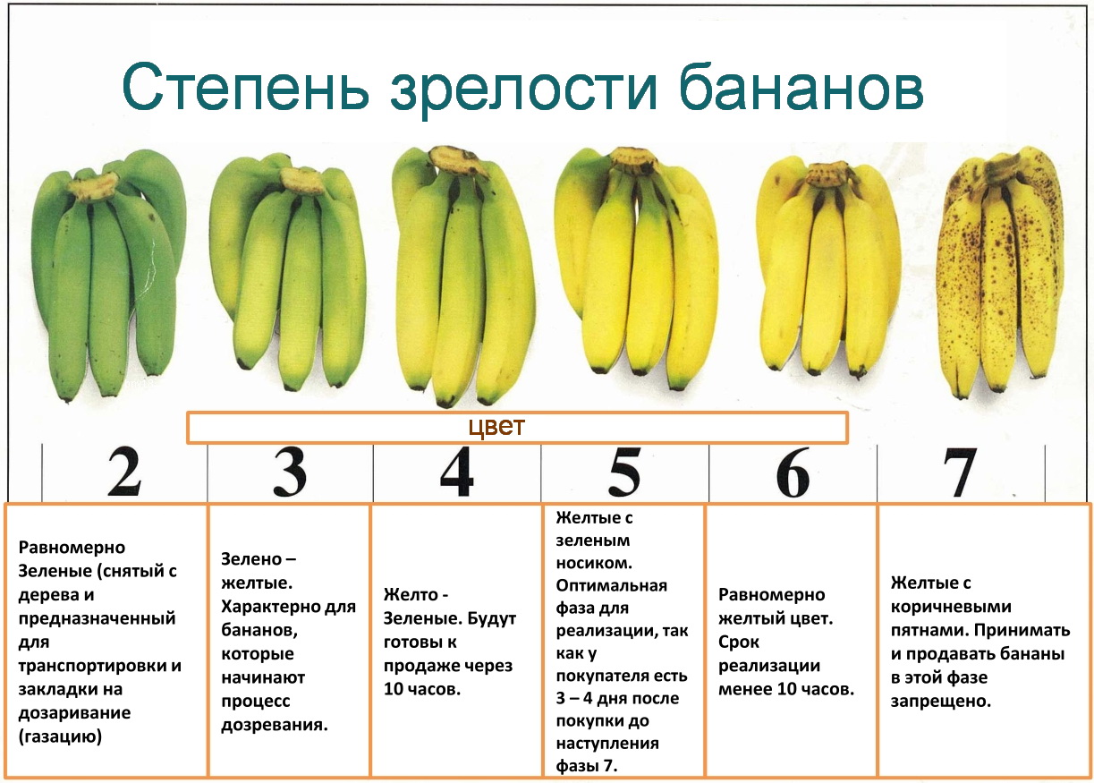 Употребление бананов во второй и третий месяц грудного вскармливания: так ли это необходимо?