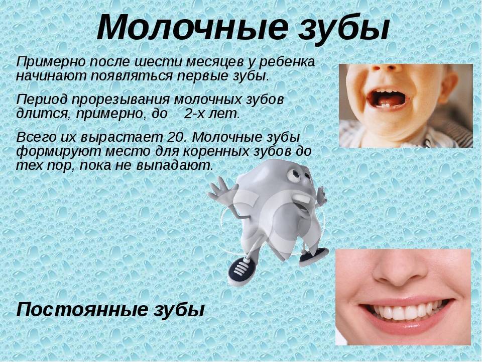 Схема, примерные сроки процесса выпадения зубов у малышей, советы от врача по уходу за ротовой полостью - особенно за молочными зубами