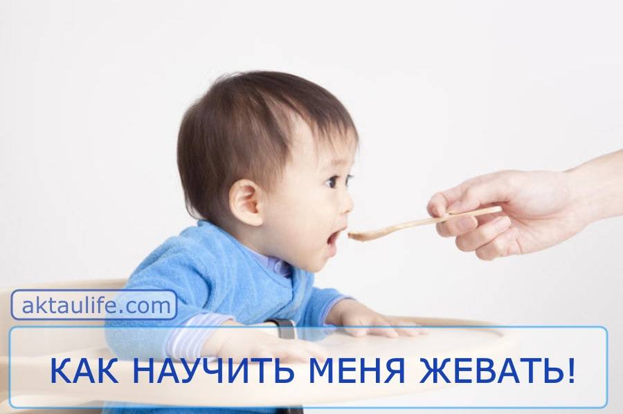 Ребенок не жует в 1 год - как научить пережевывать твердую пищу