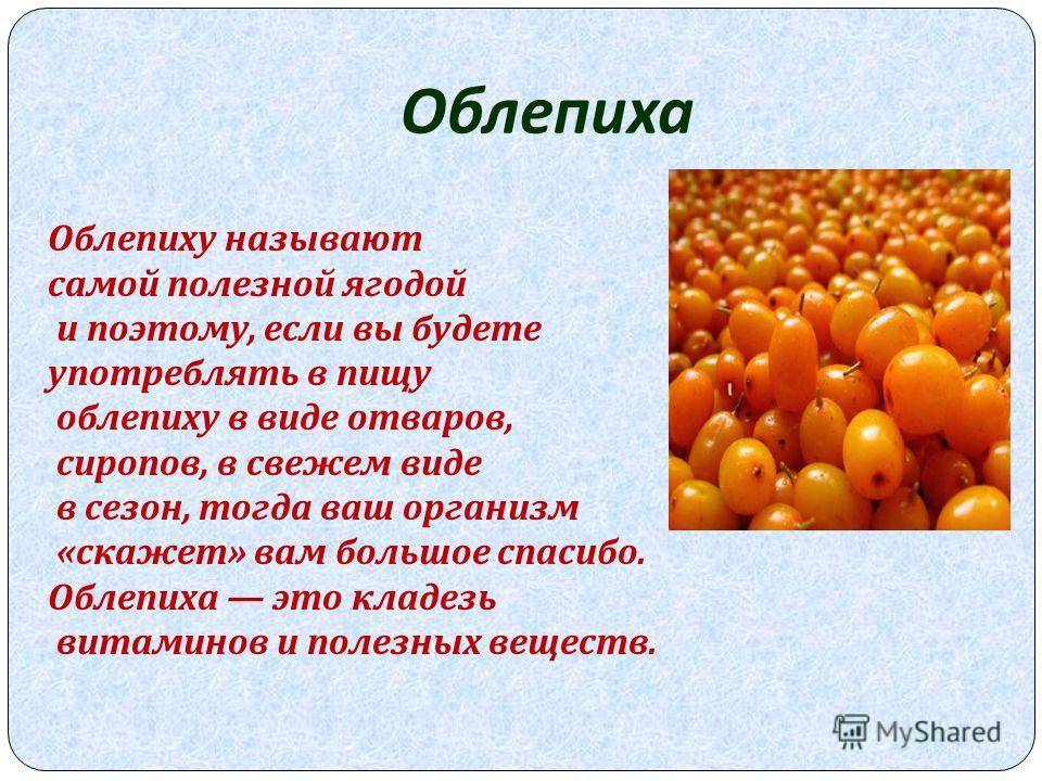 Можно ли облепиху при грудном вскармливании?