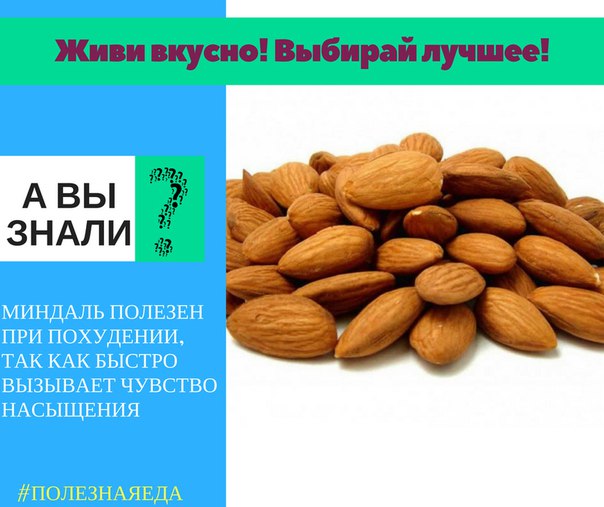Орехи при грудном вскармливании: грецкие, арахис, миндаль, кешью и кедровые
