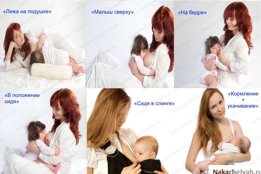 Основные позы для кормления ребенка грудью: топ-8 поз с фото и видео