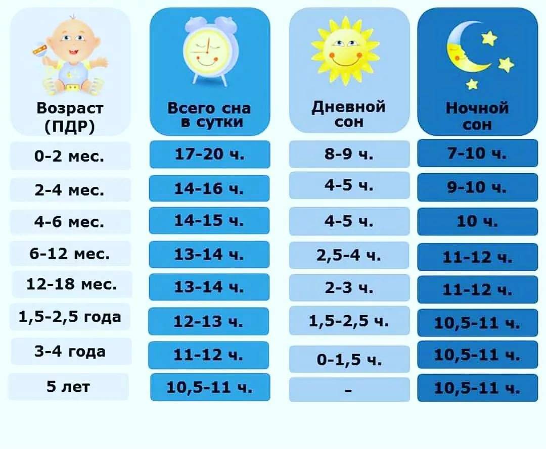 Распорядок дня ребенка в 2 года: сколько он должен спать, режим кормления и прочие вопросы + фото и видео