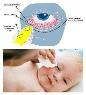 Зрение у младенцев: формировние зрительной системы после рождения. - всё о зрении.