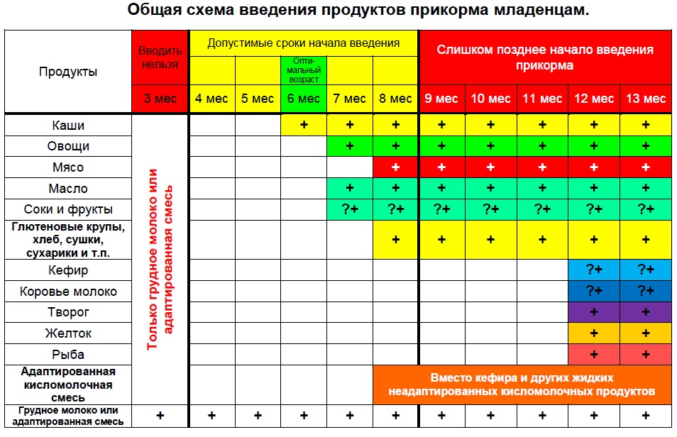 Как организовать прикорм для малыша до года / подробный гид для молодых родителей – статья из рубрики "правильный подход" на food.ru