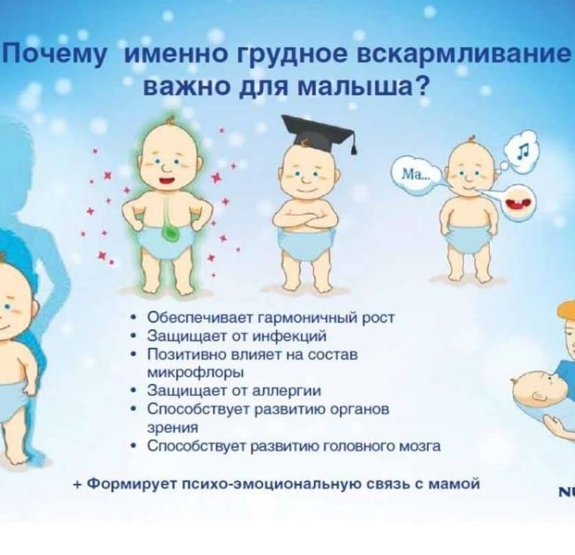 Уход за новорождённым ребёнком: памятка родителям;