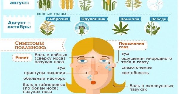 Аллергия: ликбез для аллергика. диагностика, симптомы, лечение