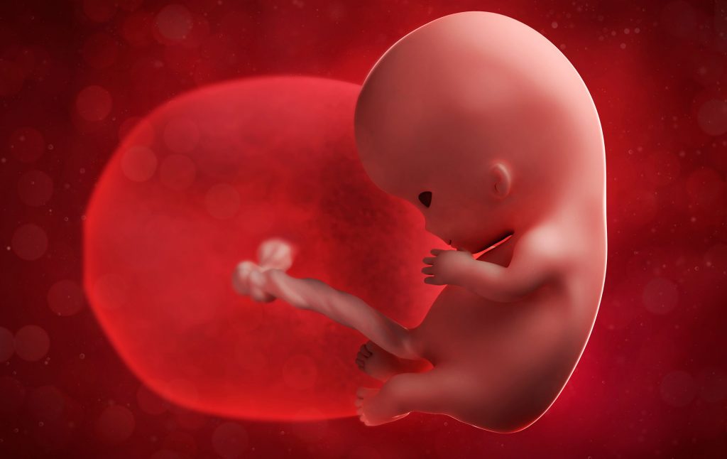 Конец 9 недели. Эмбрион на 10 неделе беременности.