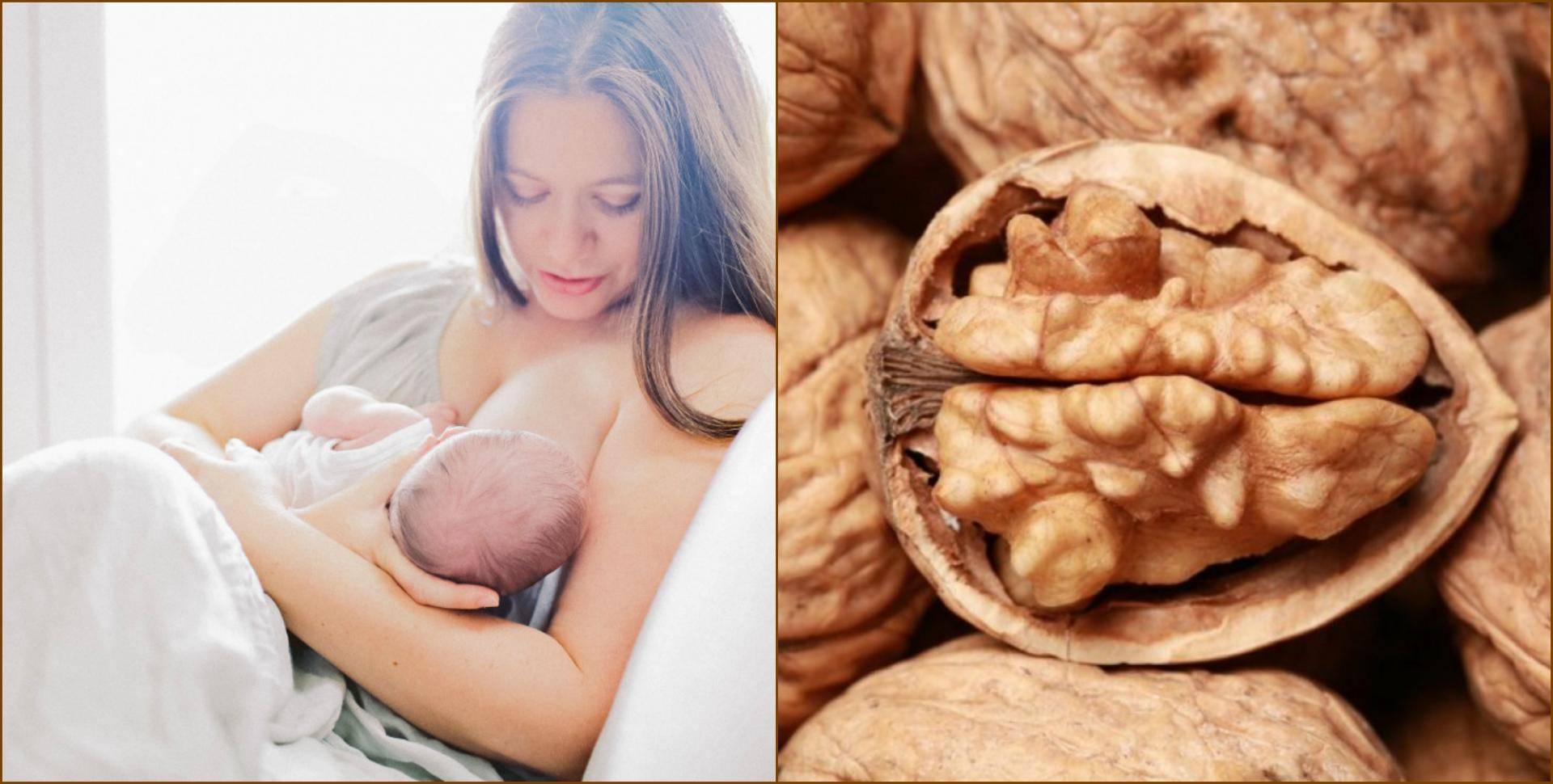 Фундук при грудном вскармливании: можно ли употреблять орехи кормящим мамам в первый месяц