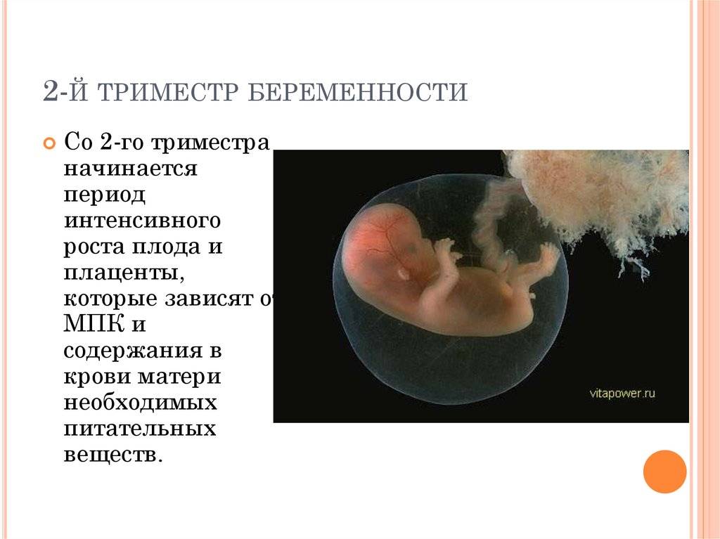 Тиреотоксикоз и беременность