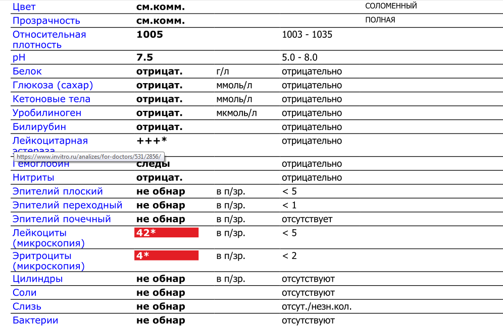 Причины повышенных эритроцитов в моче у ребенка / mama66.ru