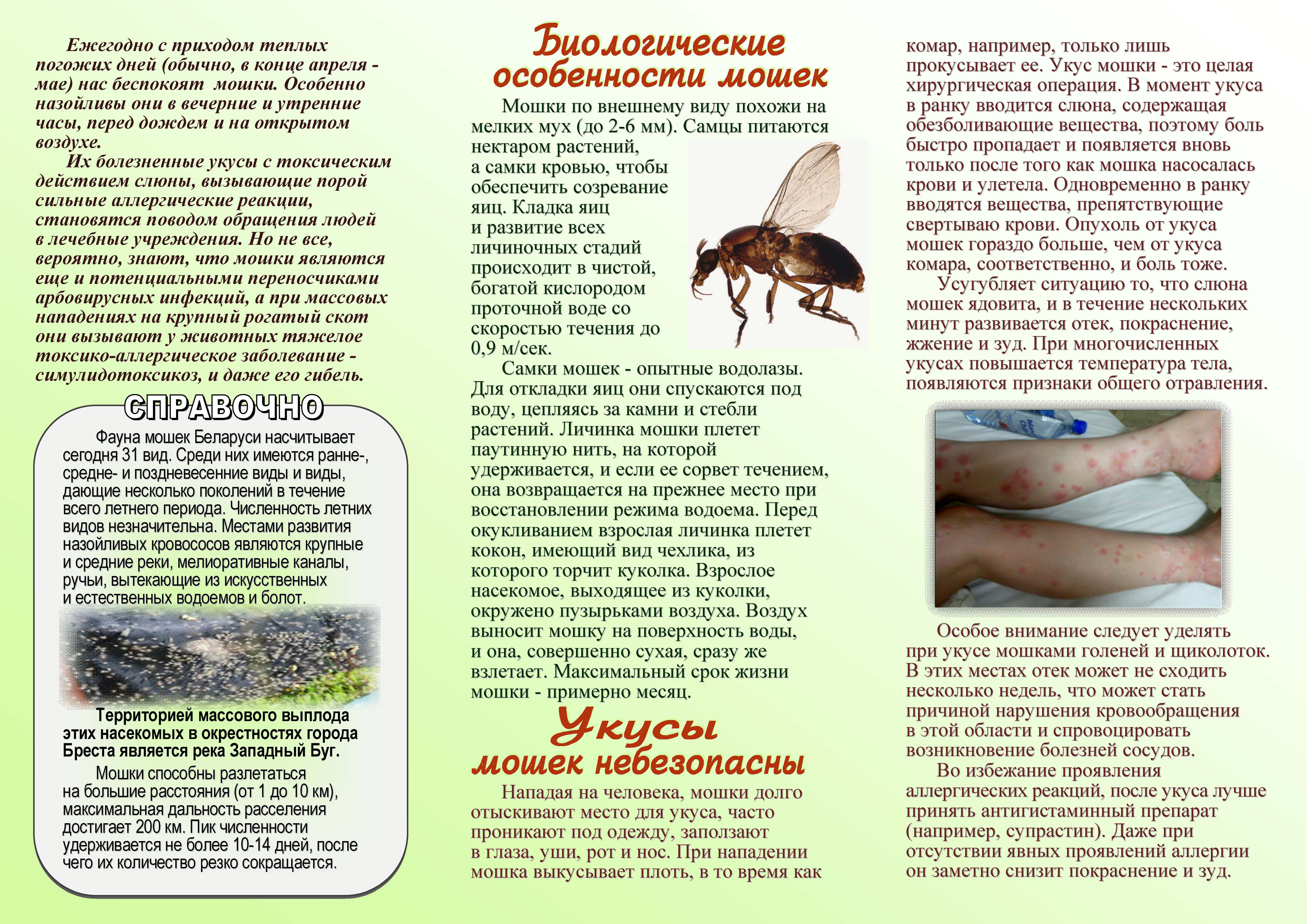 Средства от комаров для детей: спреи, кремы, гели, фумигаторы и натуральные репелленты