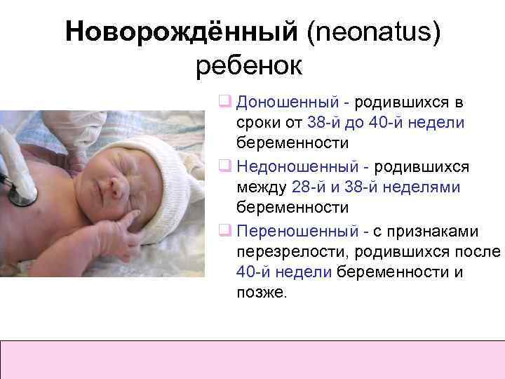 Пермские гинекологи - о критериях выхаживания недоношенных младенцев | медицинская россия