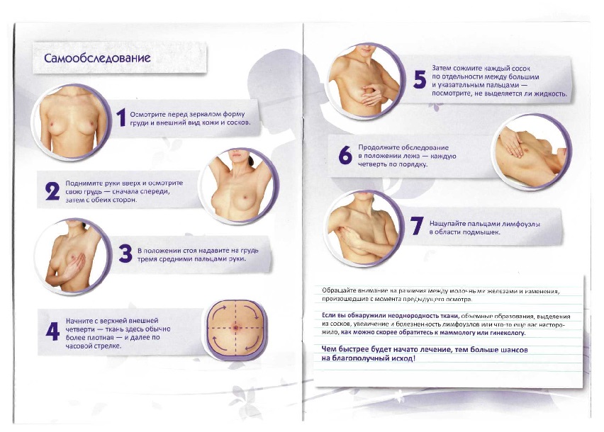 Маммопластика после беременности и грудного вскармливания | статьи и советы | блог клиники пластической хирургии «основа»