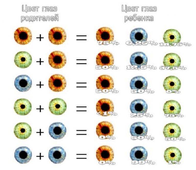 Когда меняется цвет глаз у новорожденных: возраст грудничка, причины, таблица определения цветности