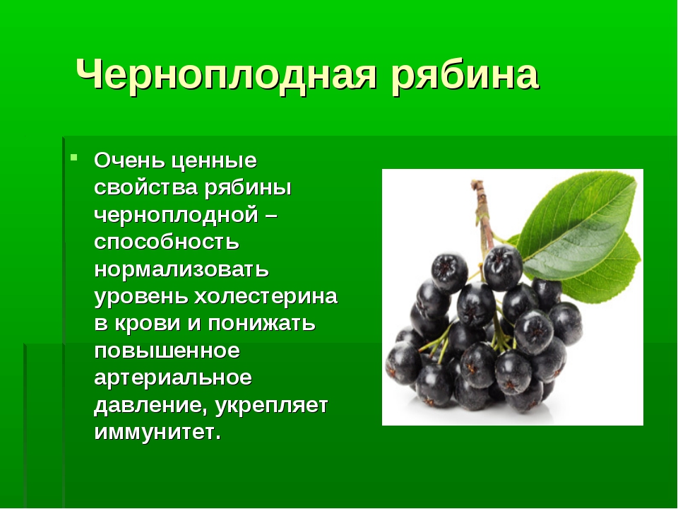 Черноплодная рябина при грудном вскармливании: польза, лечебные свойства, рецепты