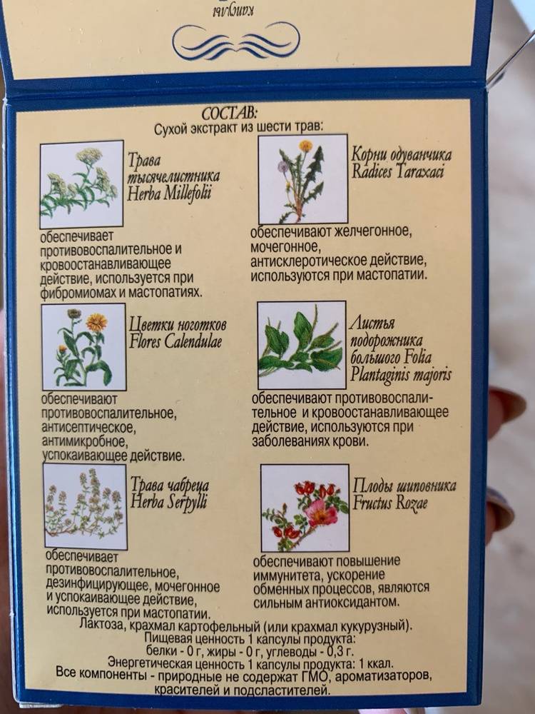 Чай мастофитон: инструкция по применению, отзывы, состав