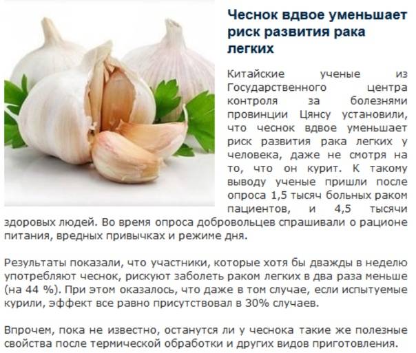 ᐉ можно ли беременной глотать кусочки чеснока. почему говорят, что чеснок запрещён? почему беременным хочется чеснока - ➡ sp-kupavna.ru
