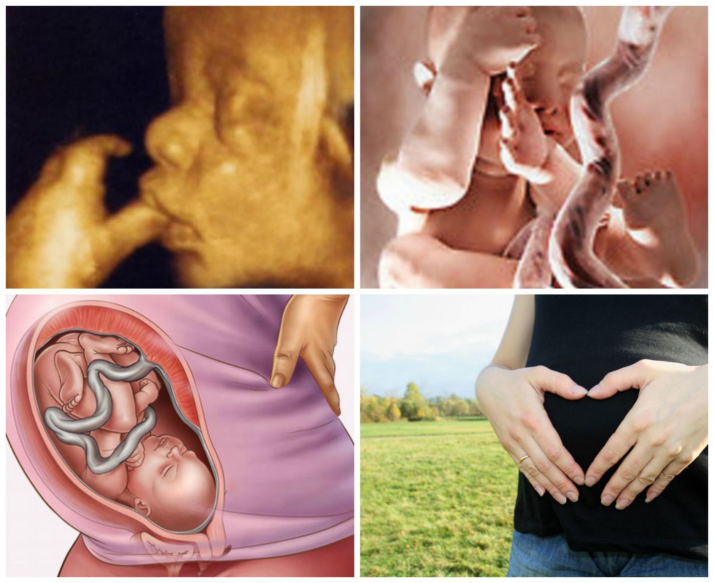 35 неделя беременности. календарь беременности   | материнство - беременность, роды, питание, воспитание