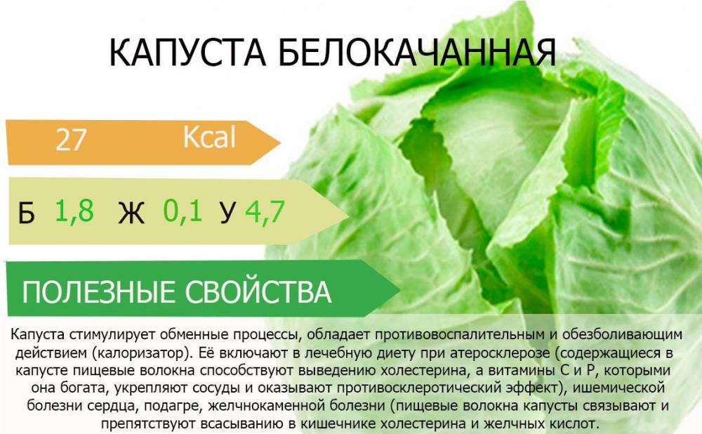 Капуста при беременности: секреты пользы для будущей мамы