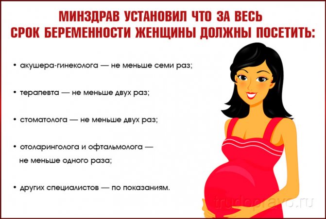 Когда беременная должна сообщить работодателю о беременности по закону