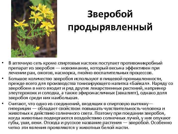 Мази и кремы от ожогов
