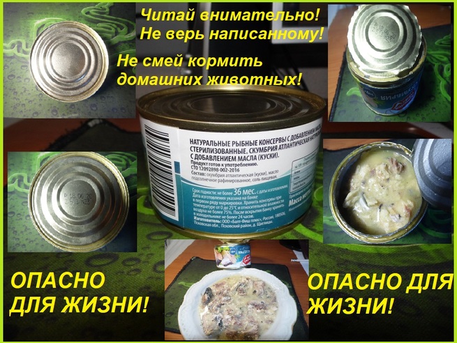 Рыба при беременности польза и вред рецепты