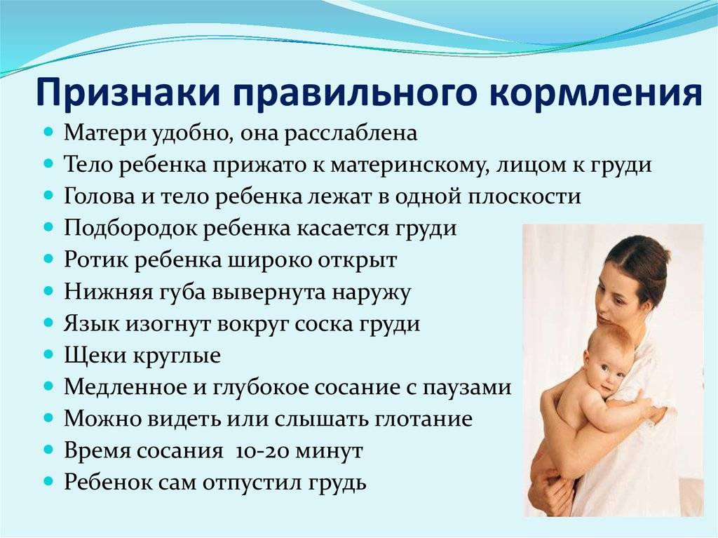 ➤ как отучить ребенка от грудного вскармливания
