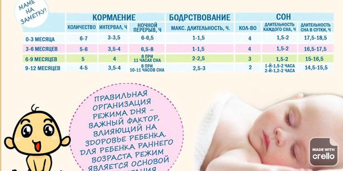 Режим дня ребенка в 9 месяцев: таблица с распорядком дня по часам | режим дня малышей на грудном и искусственном вскармливании