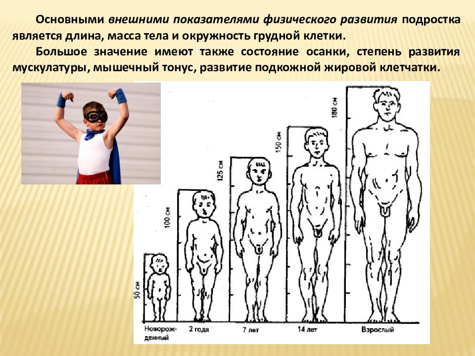 На каких картинках изображены признаки физического голода. Развитие тела юноши. Формирование тела подростка. Периоды развитие мальчиков. Внешние показатели физического развития подростка.