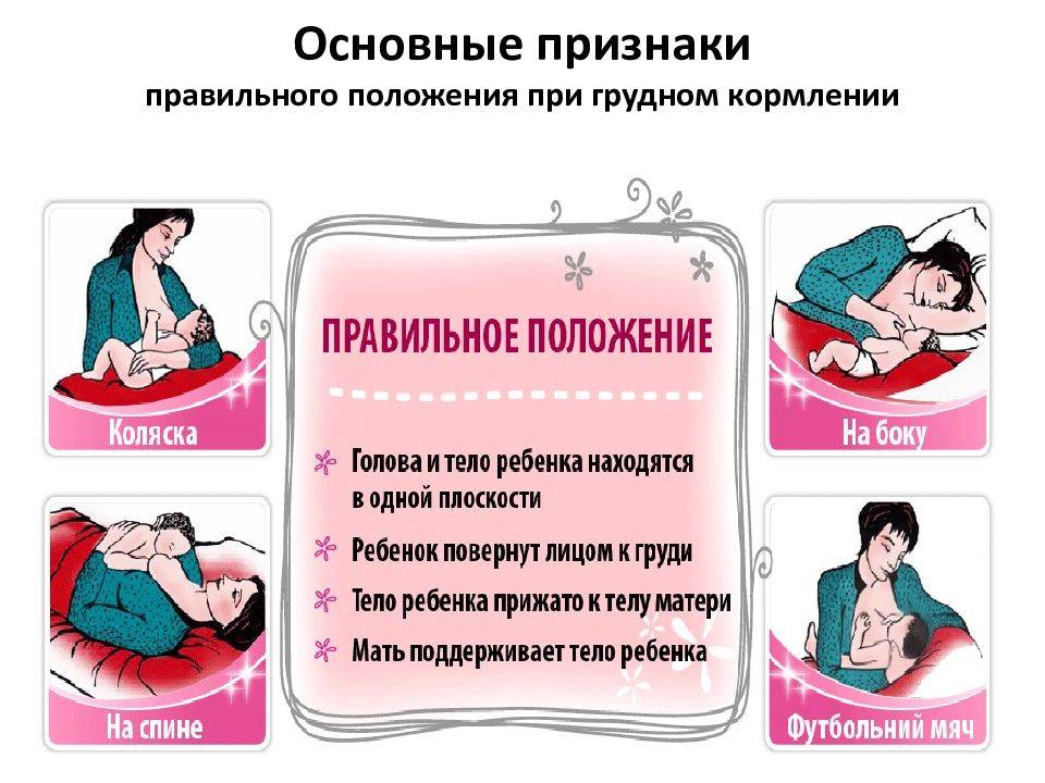 Беременность при грудном вскармливании: можно ли забеременеть в период лактации