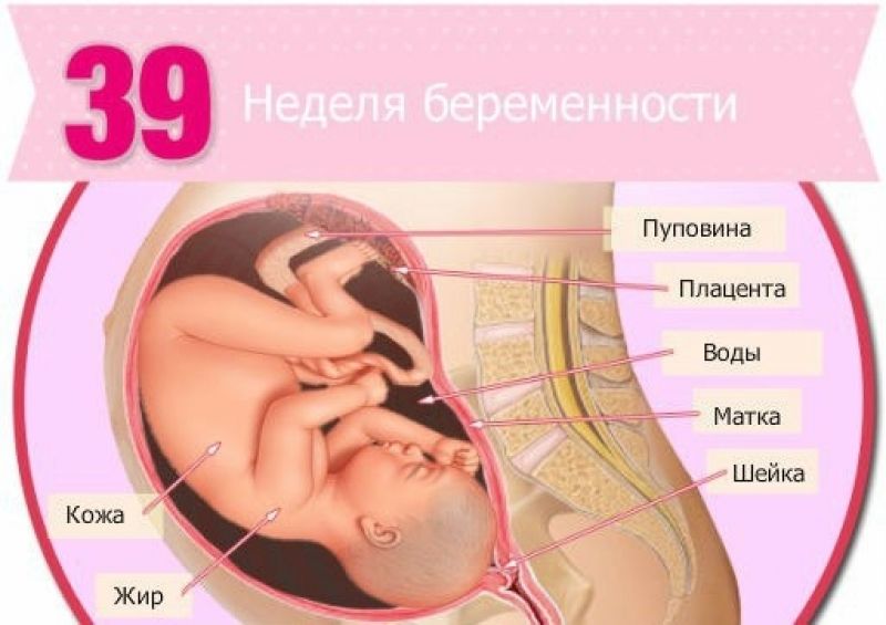 42 неделя беременности | уроки для мам
