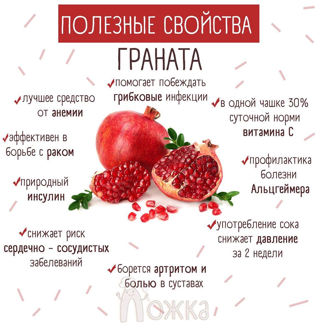 Гранат прикорм - энциклопедия детское питание
