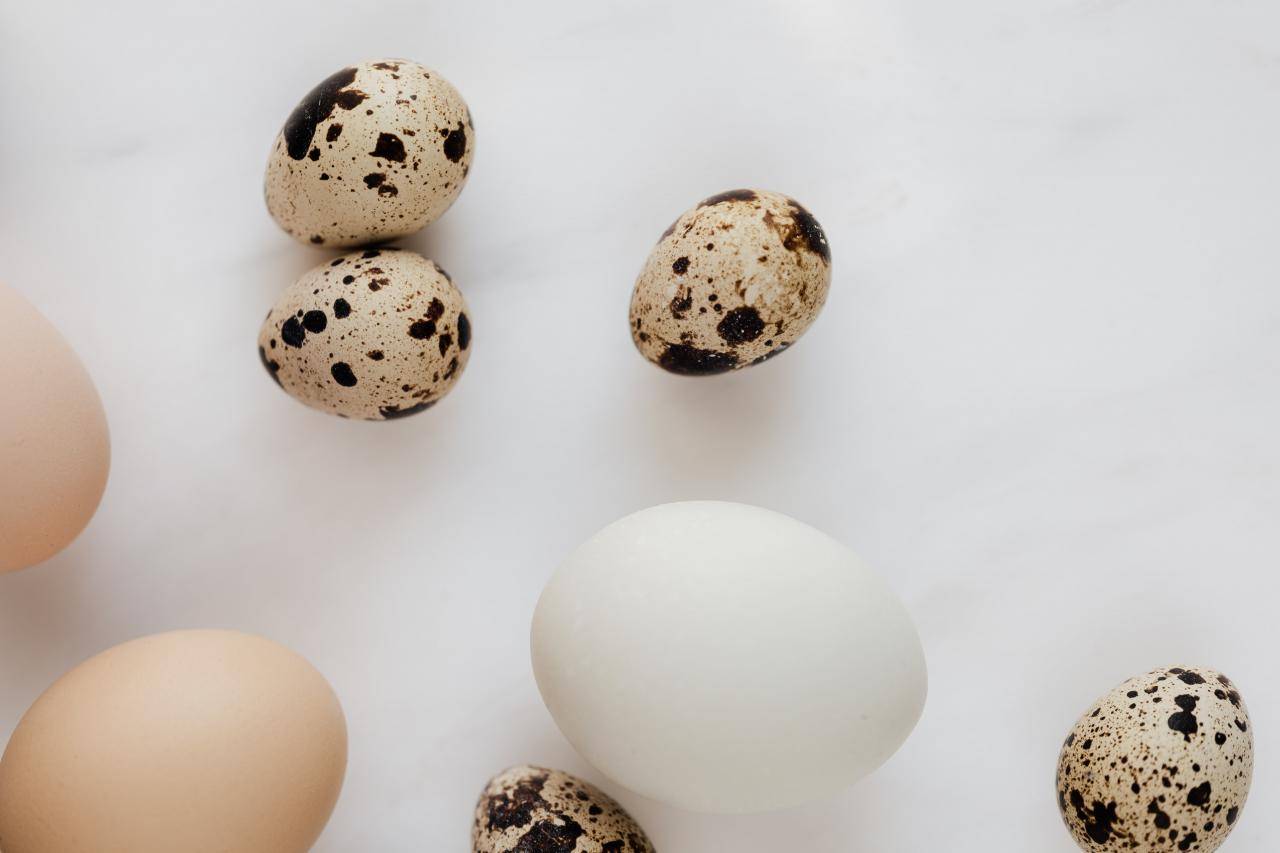 Можно ли яйца, омлет при грудном вскармливании: вареные, перепелиные