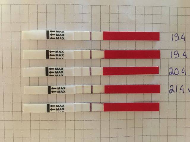Когда делать тест на беременность? | eurolab | гинекология