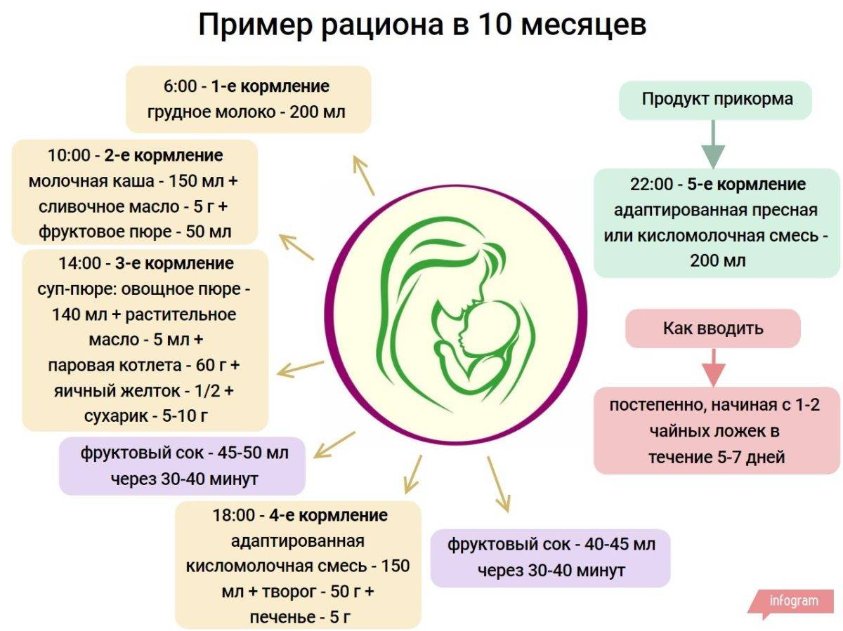 Рацион и меню питания ребенка в 10 месяцев