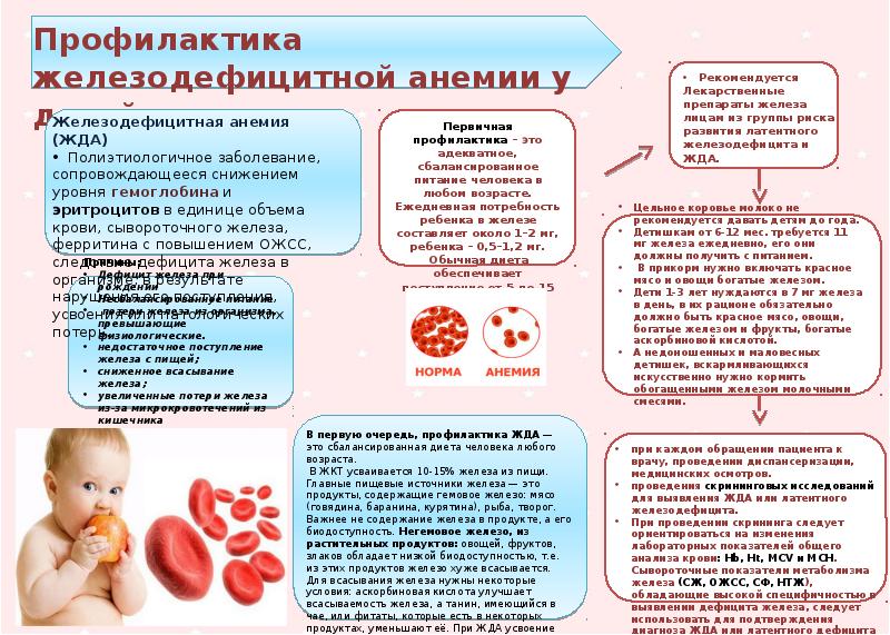 Анемия - железодефицитная, гемолитическая, в12 дефицитная, апластическая.  причины, диагностика и степени анемии